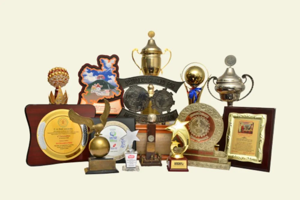 Awards and trophies received by Makson